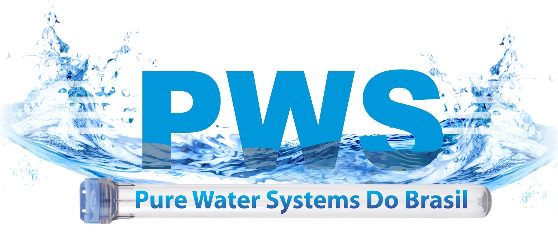 Logo PWS2
